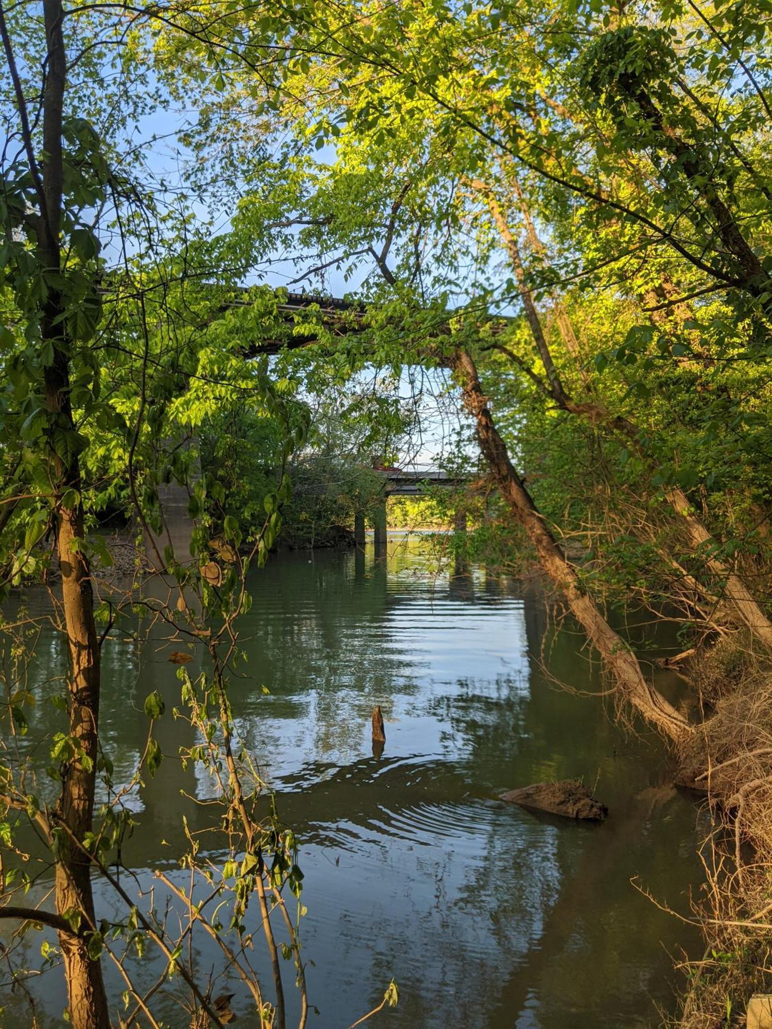 River Cabin Hot Tub & Swim Spa Near Downtown Чатануга Екстериор снимка